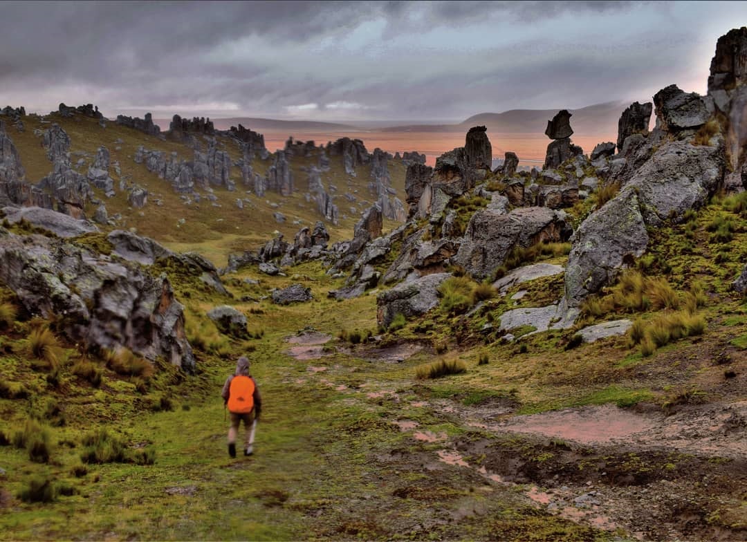 Huayllay Stone Forest, forest, peru, rocks,
